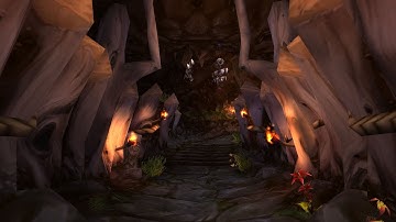 How to: Get Exalted with Timbermaw Hold in under 30 minutes!