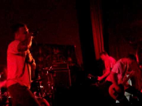 Stick To Your Guns Amber live