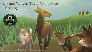 Elk and Wolves: The Lifelong Race  Part 2/Spring  Cenozoic Survival Documentary