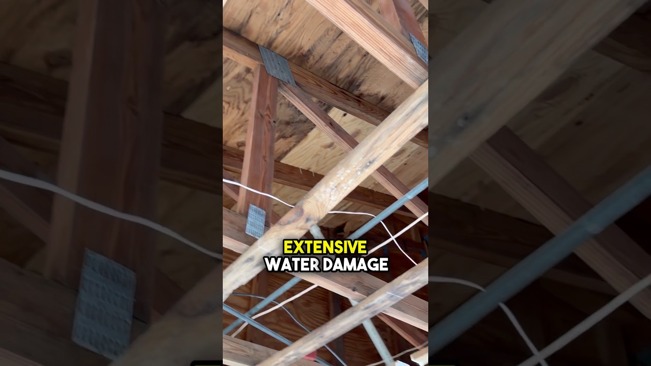 Preparation For Mold Remediation Of Semi-Porous Building Materials