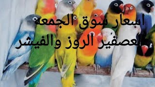 اسعار الروز والفيشر في الاسواق