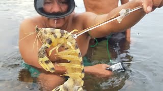 Part.2 Nang Paghuli ng Pitik, How To catch Monster Sea Mantis