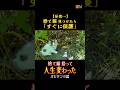 【大反省】捨て猫は出会ったら全力で保護するべき。無理なら声をかけない#猫#捨て猫#保護#子猫