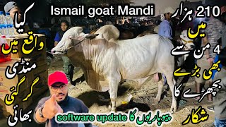 Ismail goat Mandi Karachi Cattle Rates Update ❤️ || 17 may 2026 💫 || Cow Mandi 2026