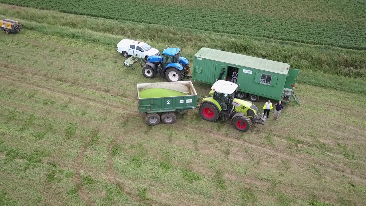 Pea vining in Sutton Bridge 17 6 16 - YouTube