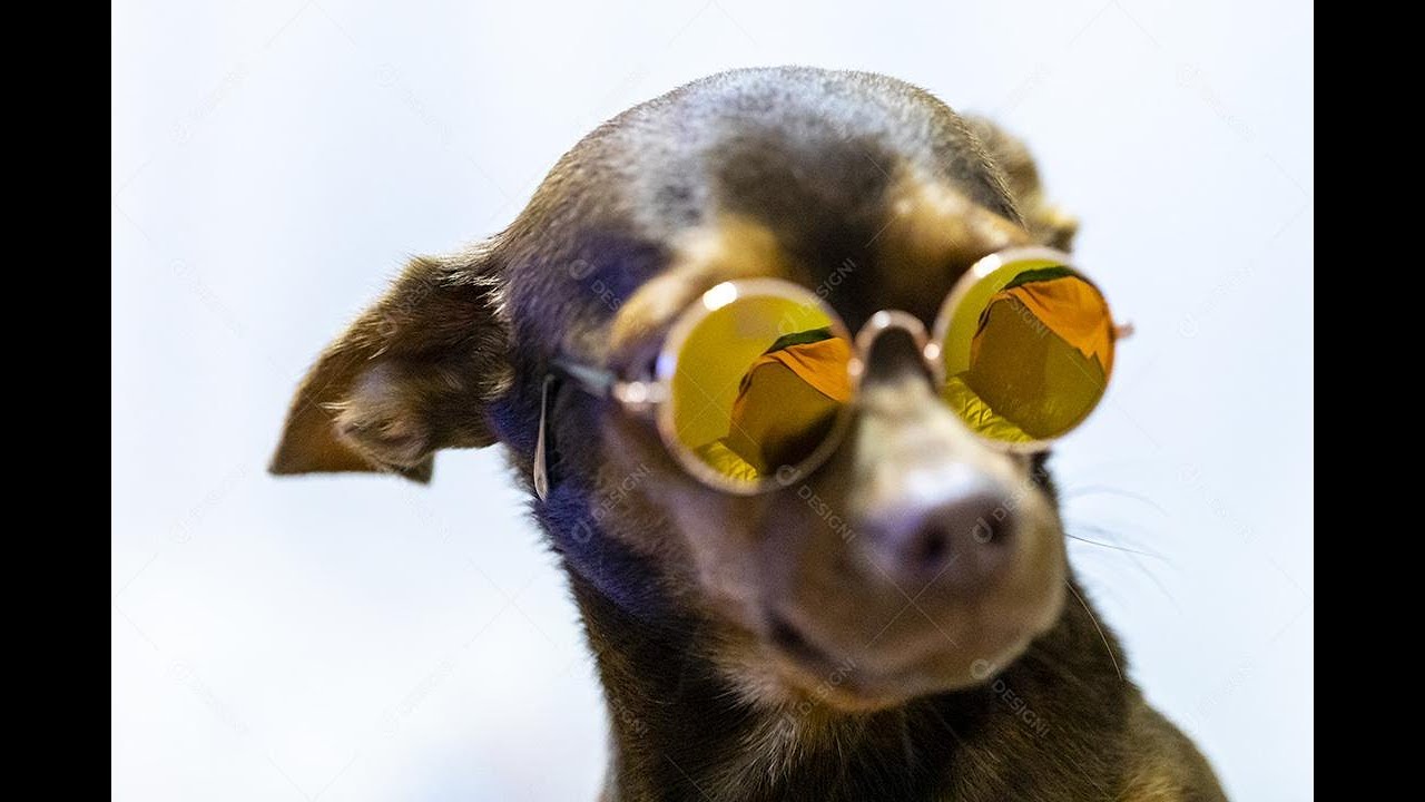 ASTRONALT IN OCEAN (inspired by this song) (EXTENDED)MASKED WOLF