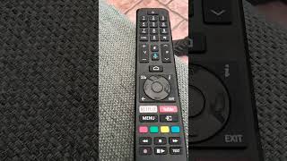 Prosonic T V Remote