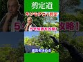 《しっかりと！！》金木犀の骨格剪定　道具も切り替える　　 #剪定方法 #庭作業 #庭木の管理 #庭木の手入れ #金木犀 #実家の庭 #庭じまい