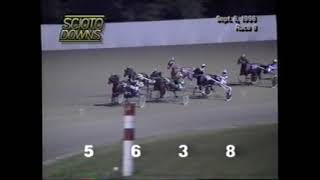 1996 Scioto Downs DREAMSDOCOMETRUE Don Collins