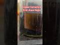 In this video, we perform copper extraction / electrolysis. #experiment