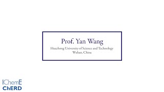 Prof. Yan Wang - Topic Coordinator - Chemical Engineering Research and Design