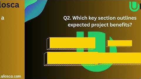 Business Case Analysis for Healthcare Improvement (D156) practice questions
