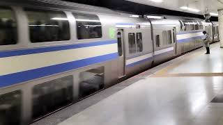 E217系クラY-33編成+クラY-129編成東京駅発車