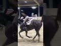 First 1.30 of the season. Sorry about the terrible video 😣 @SpruceMeadows