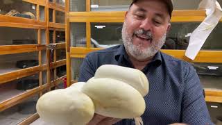 Saving Python Eggs the HARD WAY Net Worth