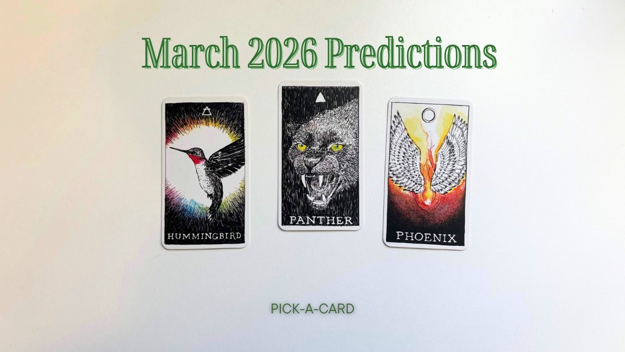 March 2026 Pick A Card | What To Expect