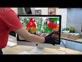 Giá iMac 5K 27 inch và 21 inch 4K Đã Trạm Đáy Chỉ 11 đến 15 Triệu Là Có Ngay