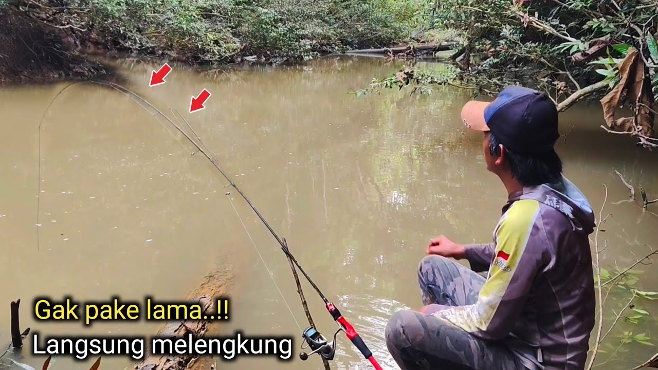 Masyaallah ramai sekali..!! Ini sungai atau kolam ikan ganas² dan lapar