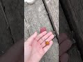 ставочеееек,мой любимый,планирую зарыбить зеркальным карпом