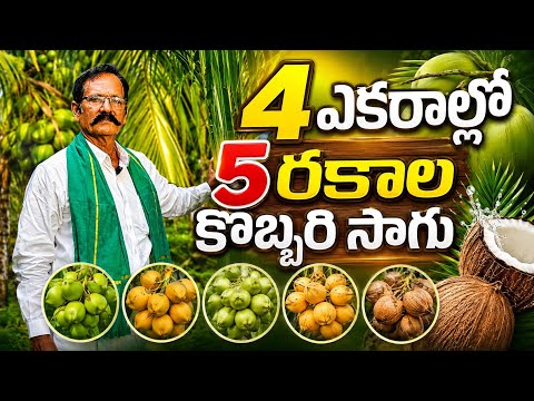 Dwarf varieties Coconut farming | 5 ర‌కాల పొట్టి కొబ్బ‌రి సాగు #dwarfcoconut