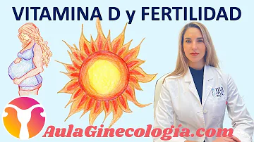 ¿Ayuda la vitamina D a la implantación?