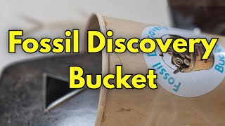 Fossil Discovery Bucket