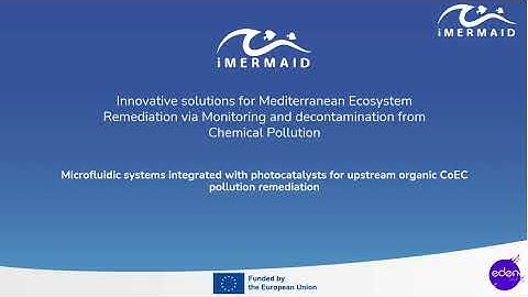 Cleaning Water with "Veins": Inside iMERMAID’s Biomimetic Tech