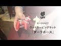 モーラナイフ ウッドカービングキット「ダーラホース」