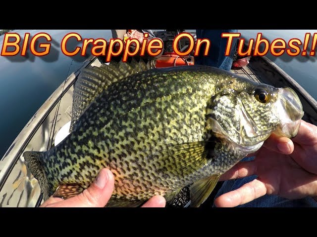 Crappie Fishing - This Is How You Catch BIG crappie On Tube Jigs