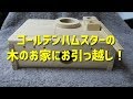 ハムスターの木のお家にお引っ越し #4