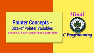 Famous 5 HINDI Pointer Concepts - Sizeof Pointer Variables Wealth