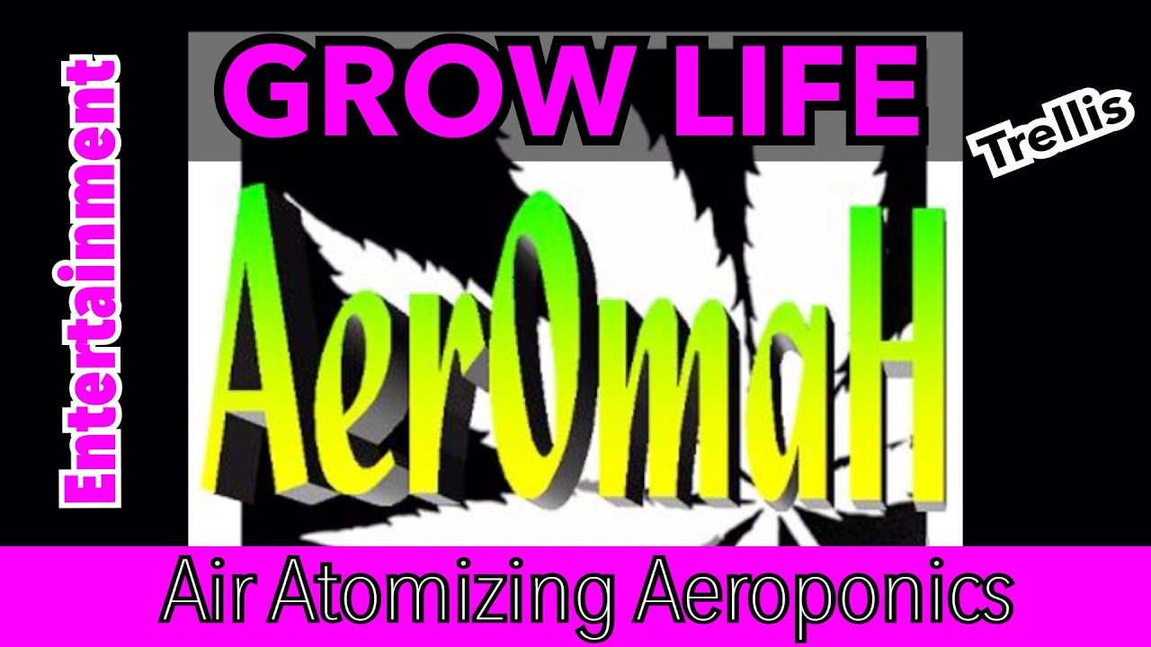 Final Prep Flip To Flower Air Atomizing Aeroponic Medical Grow (Cannabis Trellis Build)