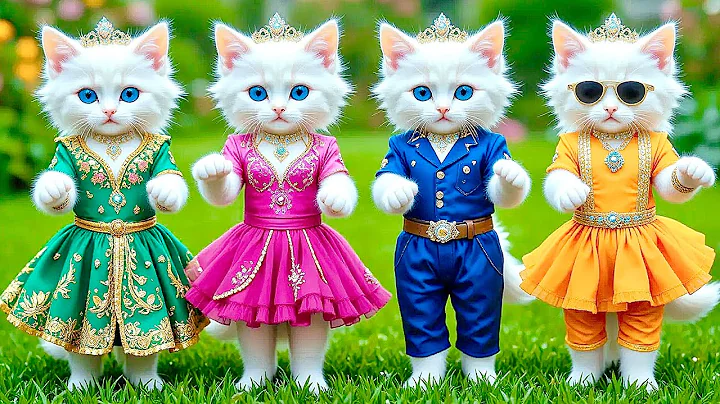 Video 11524851: kittens cat dance funny, cute kitten dancing, funnycats, cat love, compilation