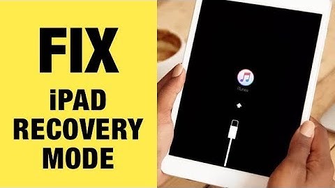 Fix iPad Stuck in Recovery Mode in iOS 13. FREE. 1 Click Only