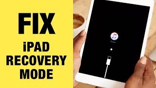 Fix iPad Stuck in Recovery Mode in iOS 13. FREE. 1 Click Only screenshot 5