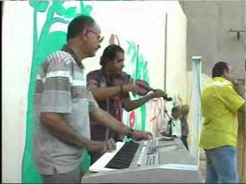 طيور الطايرة