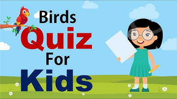 Quiz for Kids about Birds | General Knowledge Questions | Knowledge Video for Kids