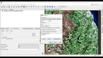 Tutorial 5: NDVI