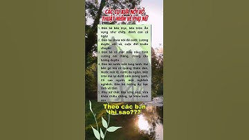 các cụ xưa nói thuật nhìn về phụ nữ #trietlysong #danhngon#shortvideo