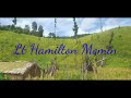 Basakoba ronade rebaboda,[By Lt Hamilton Momin,] Mp3 Song