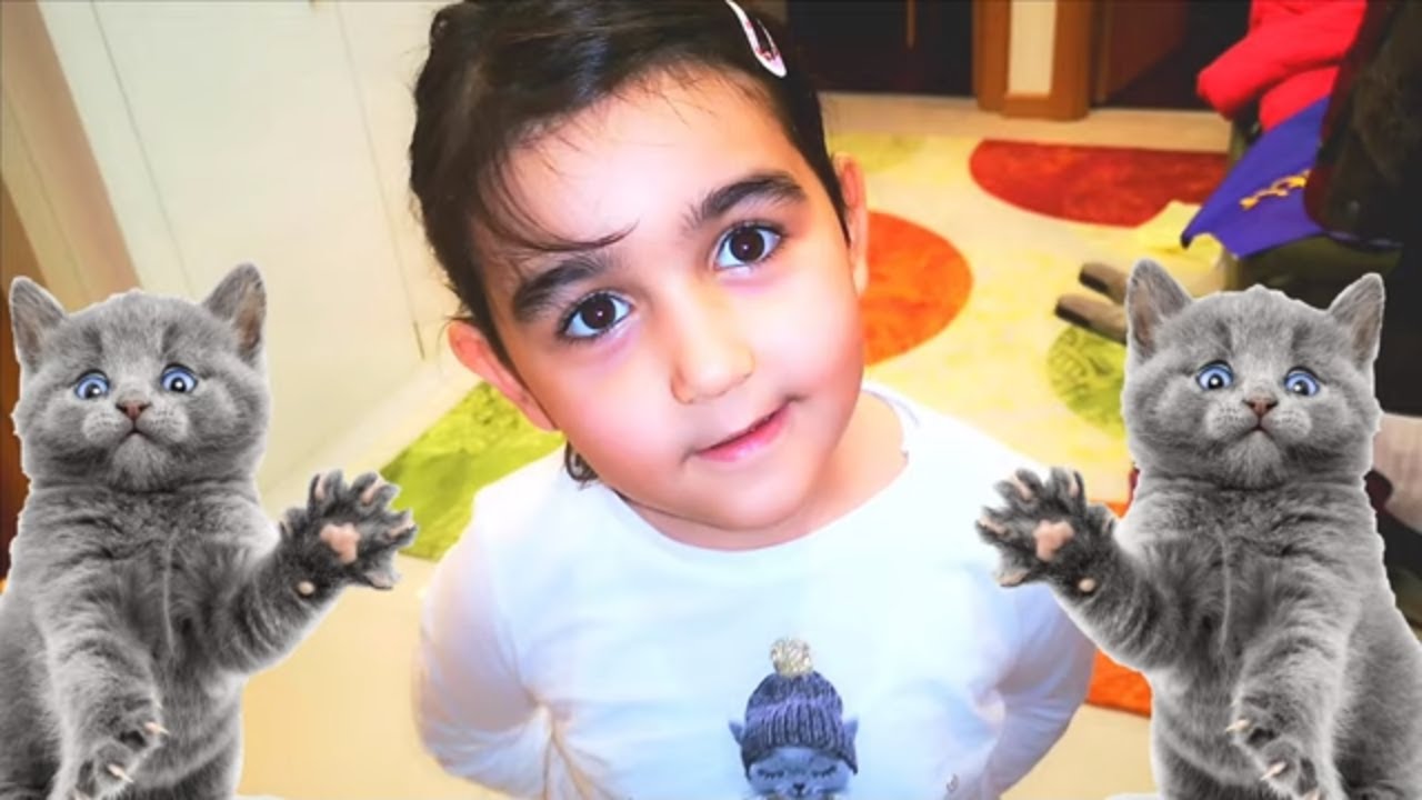 kedi yuvası yaptık kartondan YouTube