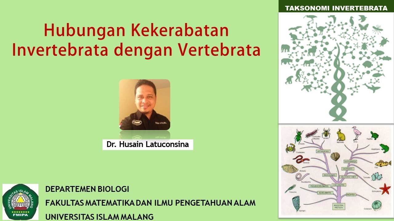 Hubungan Kekerabatan Invertebrata dan Vertebrata
