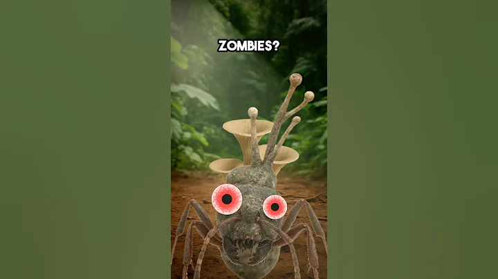 The Fungus That Turns Ants Into Zombies 😱