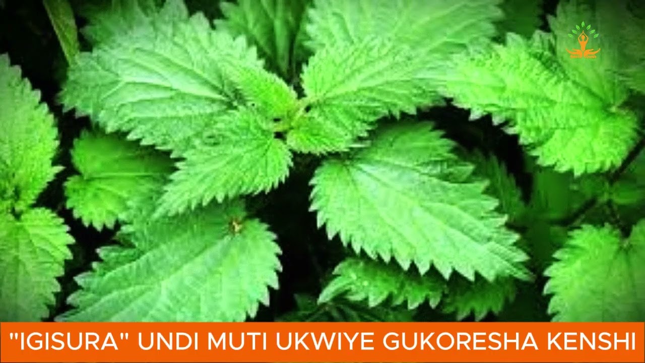 "IGISURA" UNDI MUTI UKWIYE GUKORESHA KENSHI GASHOBOKA NIBA USHAKA UBUZIMA BUZIRA UMUZE