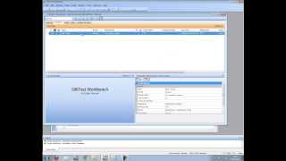 Inserting verification into a SilkTest Workbench .Net script