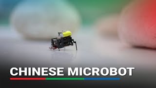 Chinese researchers invent buglike microrobot with ultrafast untethered running speeds