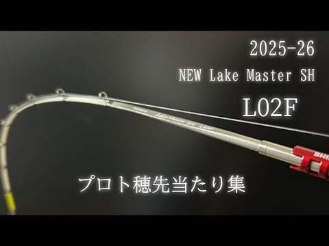 ワカサギ釣り】Shimano NEW ワカサギ穂先レイクマスターSHL02F