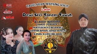 WAYANG KULIT KI BUDI WIDODO Lakon DEWI SRI ( Tanem Tuwuh ) // Gowok Ringin, Kamis 8 Januari 2026