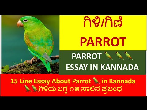 essay of parrot in kannada