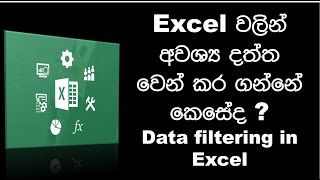How to use data filter in Excel | Sinhala
